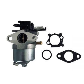Carburator Briggs-Stratton seria 700, 750 DOV