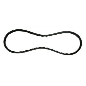 Curea Motosapa (Zimbru 6544) 13 x 8 x 925 La