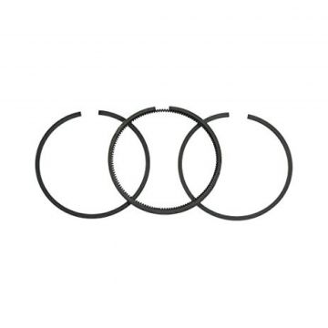 Segmenti Generator Briggs - Straton 493261