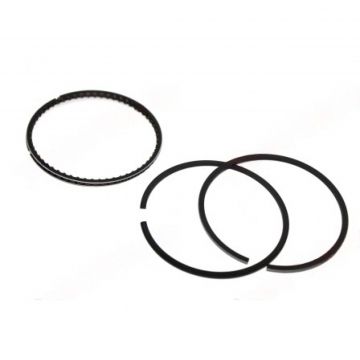 Segmenti Generator Robin EX17