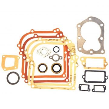 Set Garnituri Motor Briggs and Straton 3.5 CP (seria 298989)