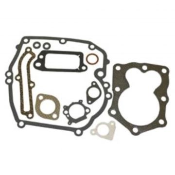 Set Garnituri Motor Briggs and Straton (Seriile 590508, 794307, 497316)