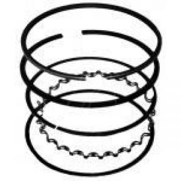 Segmenti Briggs - Straton -65 x 1.2 x 1.2 x 2mm