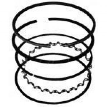 Segmenti Generator Briggs - Stratton Quantum, 68.00, ( 2 x 1.60, 1 x 3.70 )