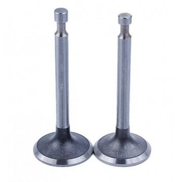 Supape Honda GX 160 (5.5hp, 6.5hp, 168F)